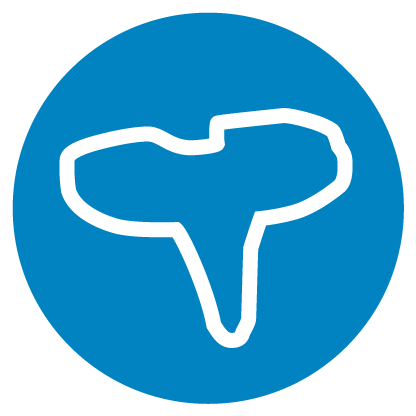 Zimmer Biomet Persona OsseoTi icon